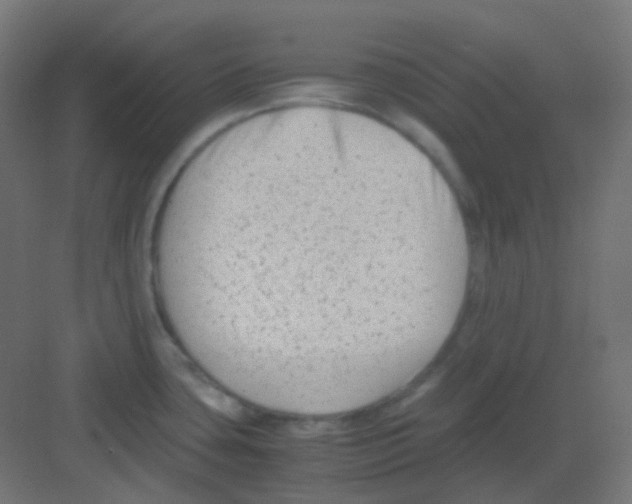 X0000081391435200702090026