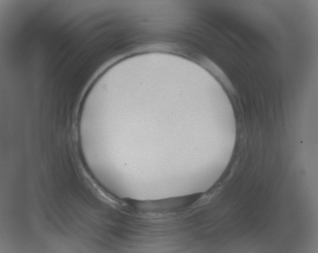 X0000081391436200702090026