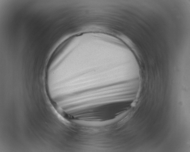 X0000081391438200702090026