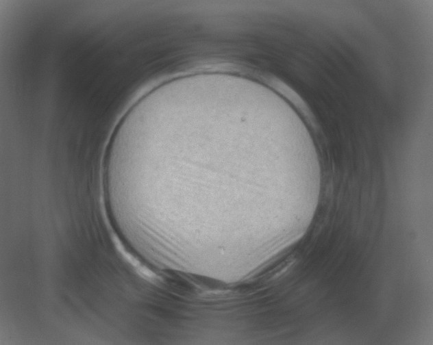 X0000081391439200702090026