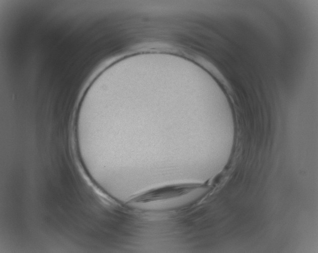 X0000081391440200702090026