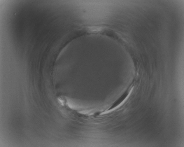 X0000081391441200702090026