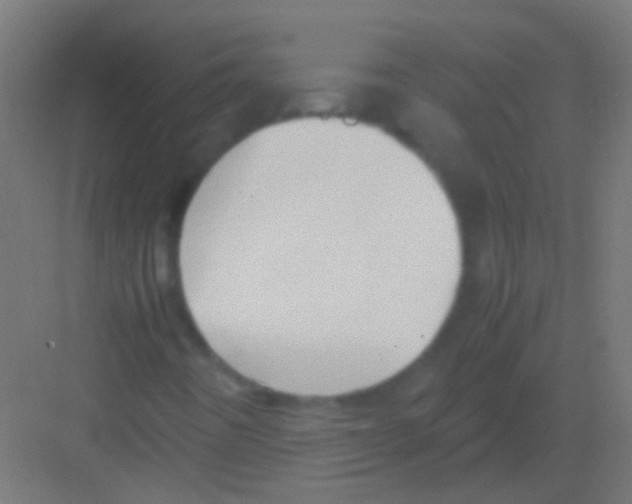 X0000081391442200702090026