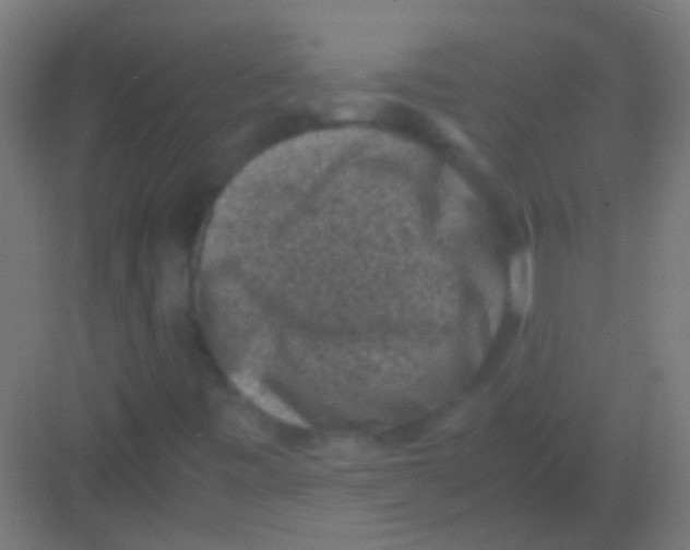 X0000081391443200702090026