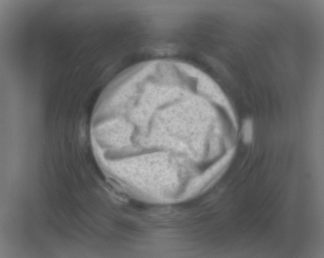 X0000081391444200702090026