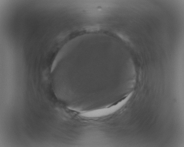 X0000081391445200702090025