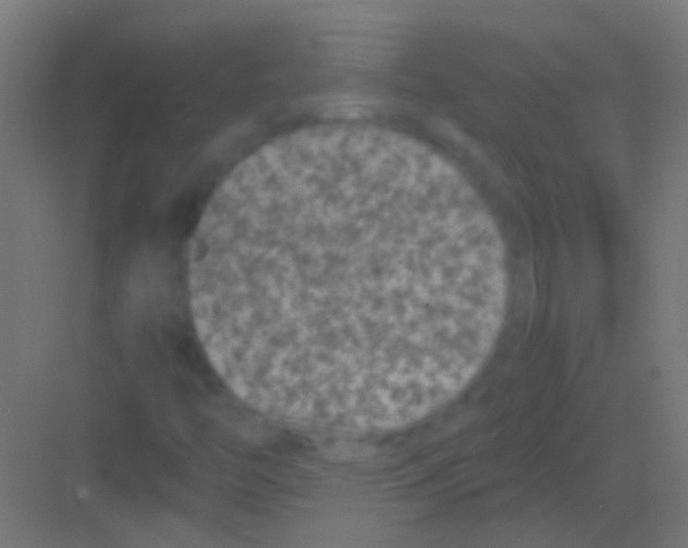 X0000081391446200702090025