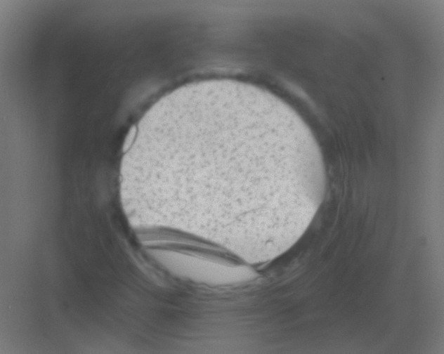 X0000081391448200702090025