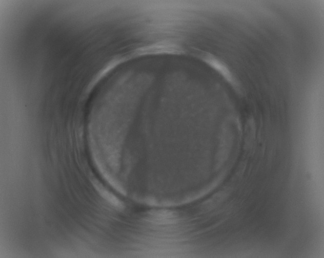 X0000081391450200702090025