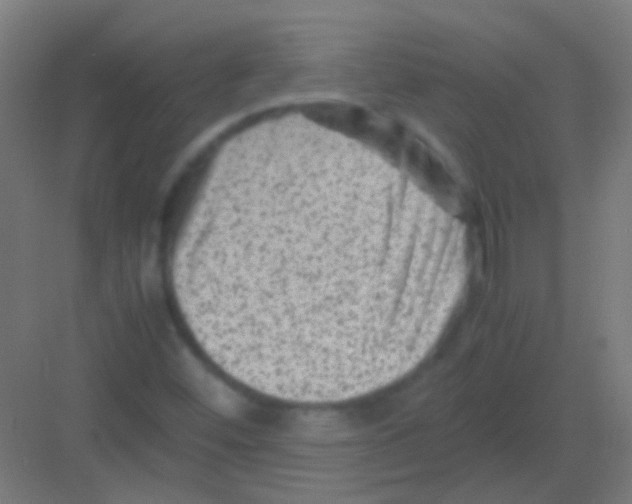 X0000081391452200702090025