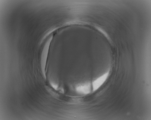 X0000081391453200702090025