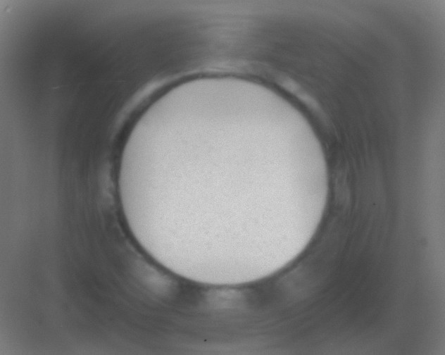 X0000081391454200702090025