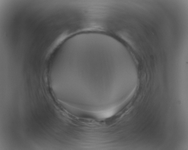 X0000081391455200702090025