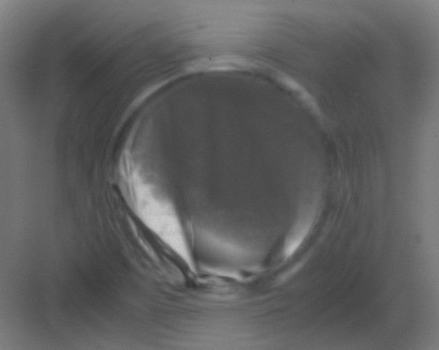 X0000081391457200702090025