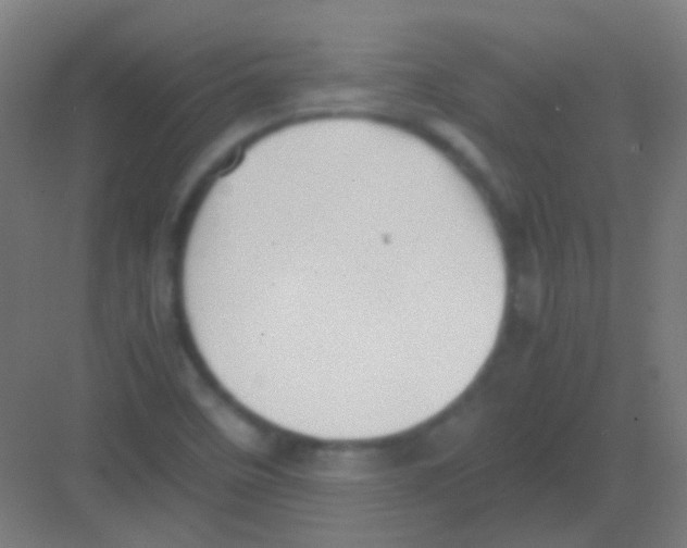 X0000081391458200702090025