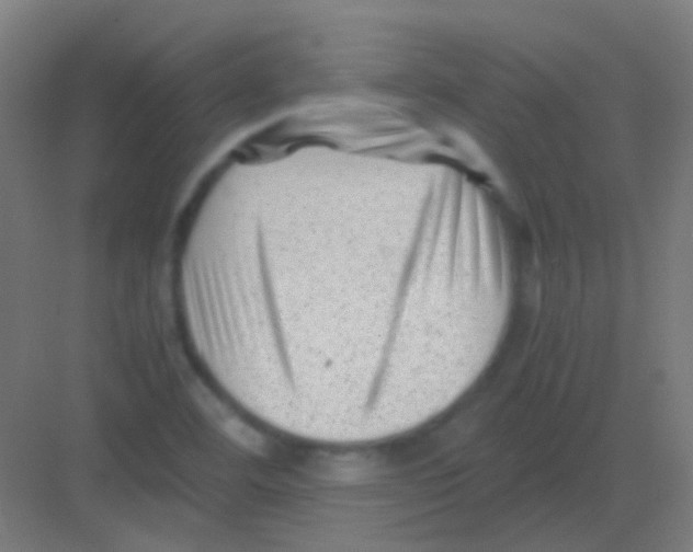 X0000081391460200702090025