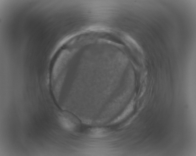 X0000081391461200702090025