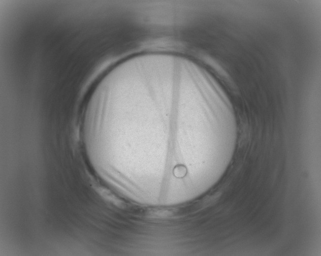 X0000081391462200702090025