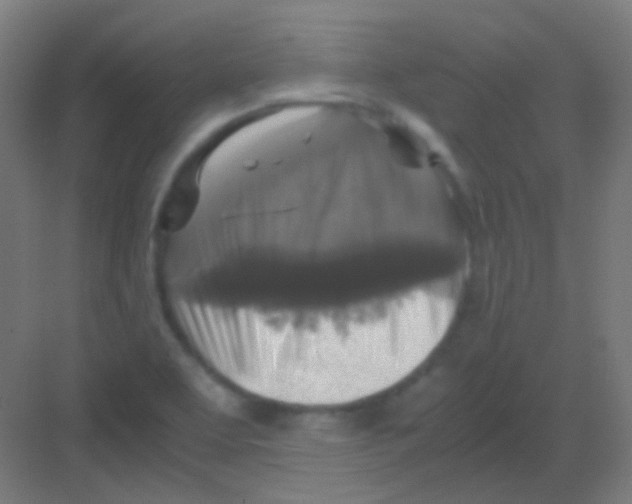 X0000081391463200702090025