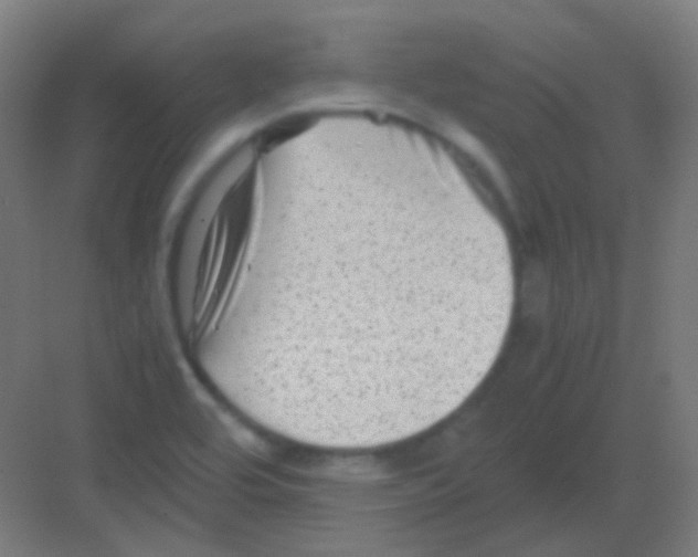 X0000081391464200702090025