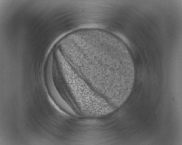 X0000081391468200702090025