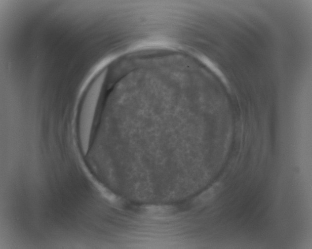 X0000081391469200702090025