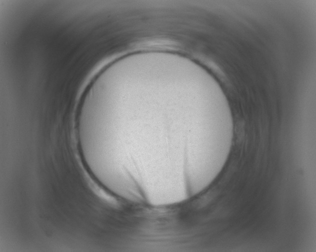 X0000081391470200702090025