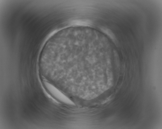 X0000081391471200702090025