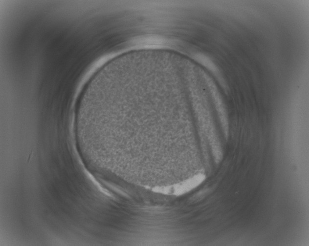 X0000081391472200702090025