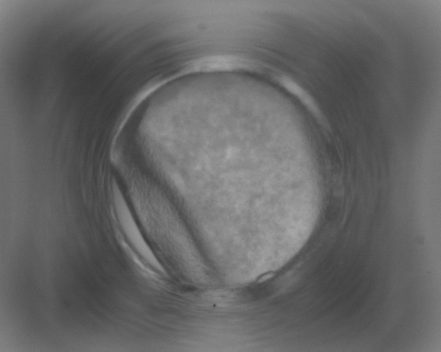 X0000081391473200702090025