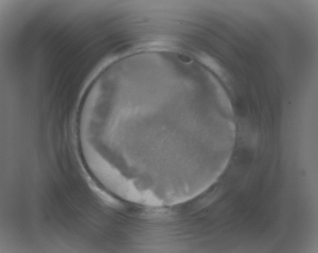 X0000081391474200702090025