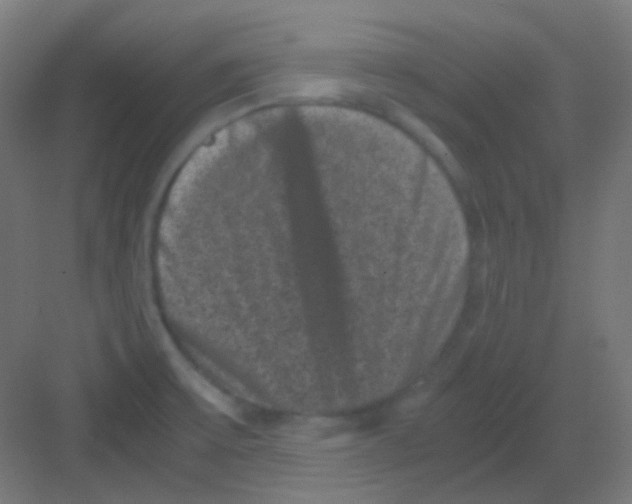 X0000081391475200702090025