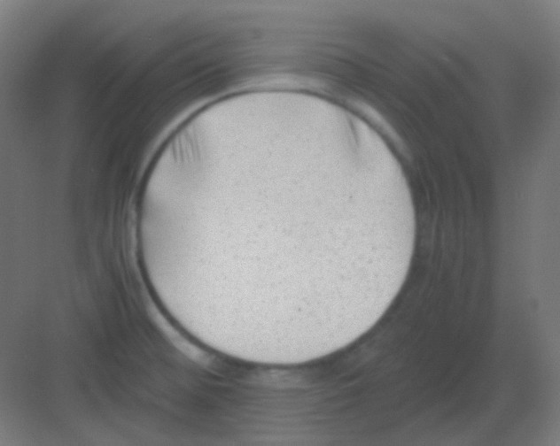 X0000081391476200702090025