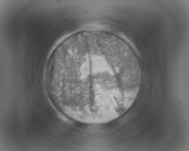 X0000081391477200702090025