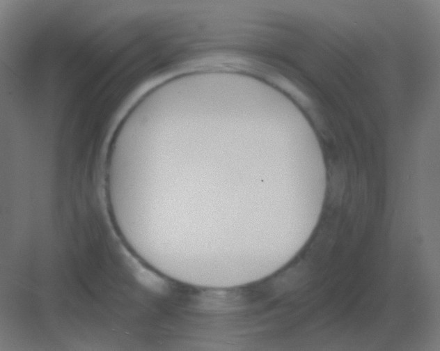 X0000081391478200702090025