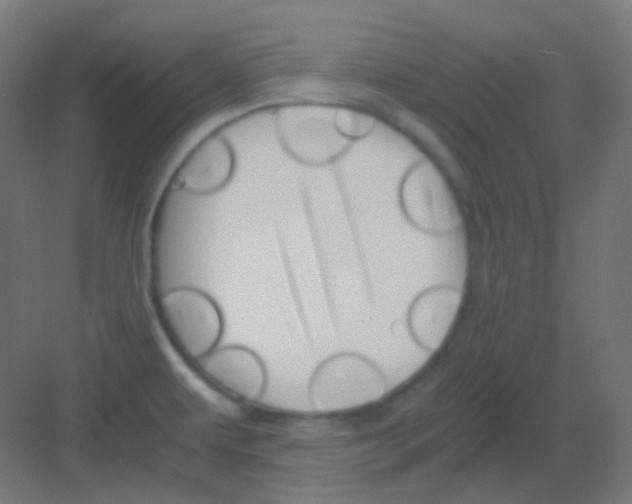 X0000081391479200702090025