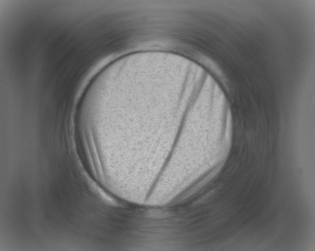 X0000081391480200702090025