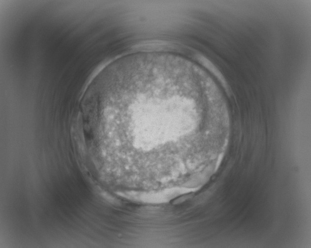 X0000081391481200702090025