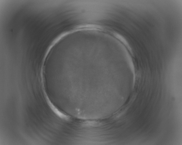 X0000081391482200702090025