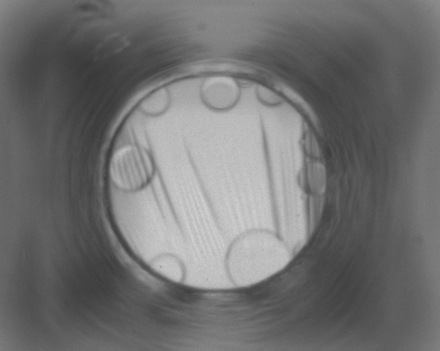 X0000081391483200702090025