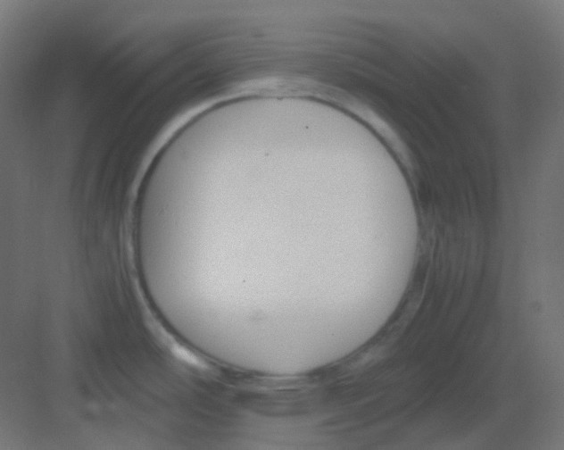 X0000081391486200702090025