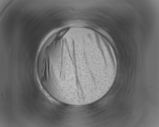 X0000081391488200702090025