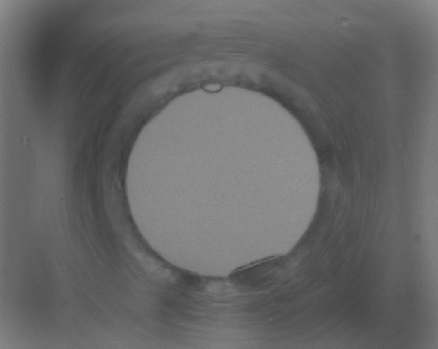 X0000081391489200702090024