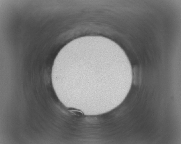 X0000081391491200702090024