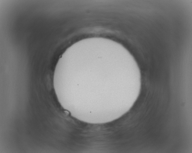 X0000081391493200702090024