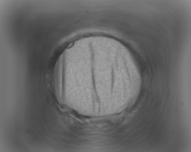 X0000081391494200702090024