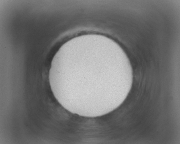 X0000081391495200702090024