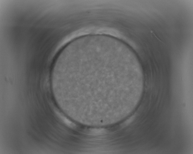 X0000081391498200702090024