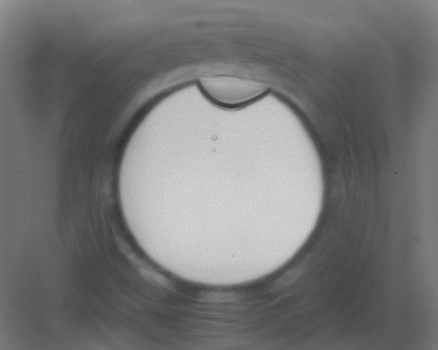 X0000081391499200702090024