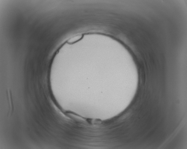 X0000081391500200702090024